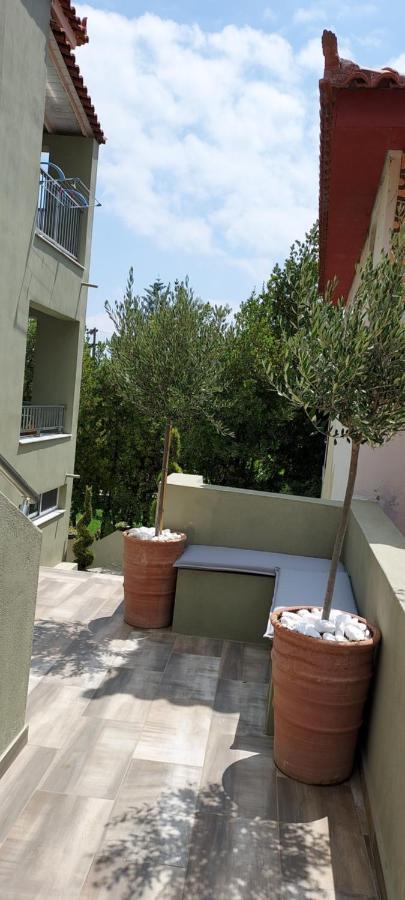 Villa Bloom Achladies  Esterno foto