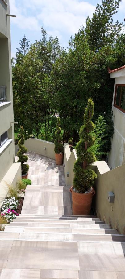 Villa Bloom Achladies  Esterno foto